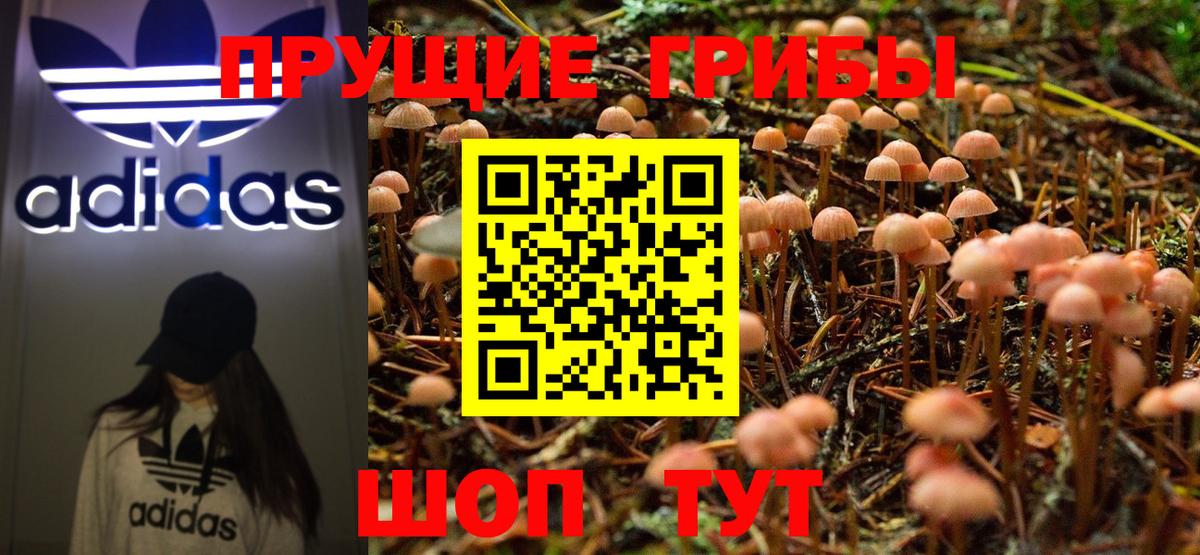 Псилоцибиновые грибы ЛСД  Минеральные Воды 