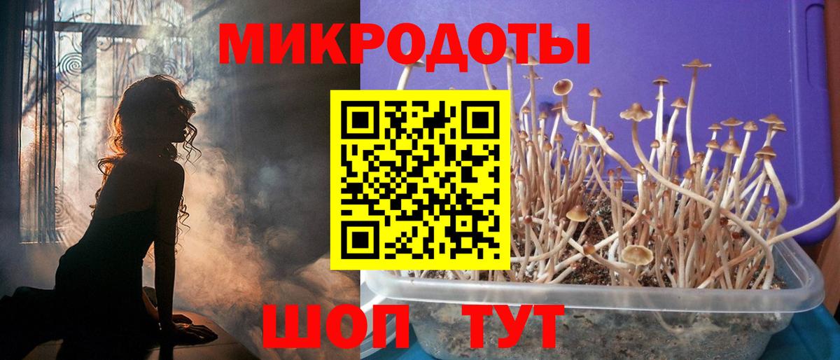 Галлюциногенные грибы MAGIC MUSHROOMS  Вход с VPN  Минеральные Воды 
