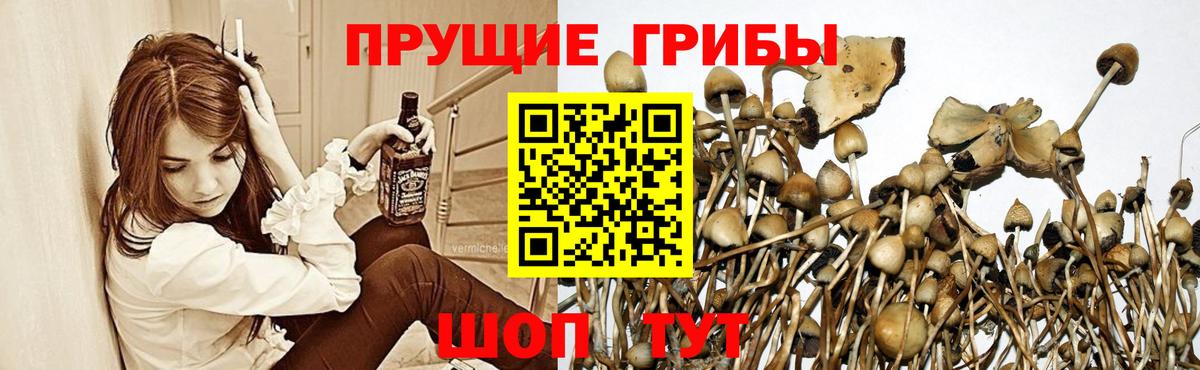 Псилоцибиновые грибы Magic Shrooms Минеральные Воды