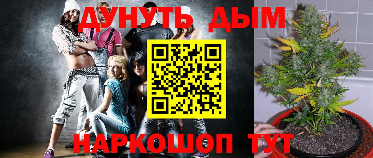 Конопля марихуана Минеральные Воды